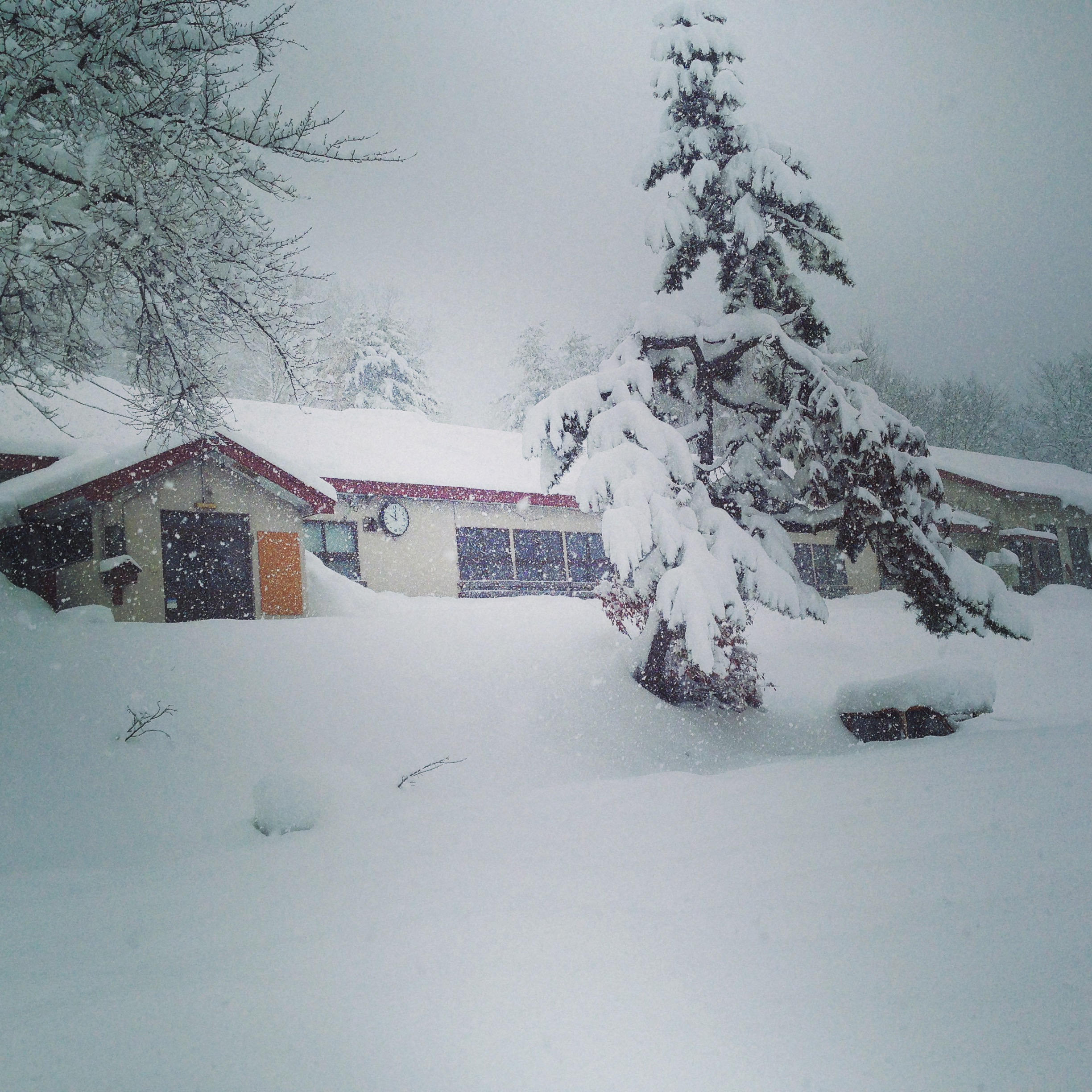 冬の王余魚沢倶楽部